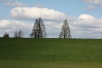 Bild 86